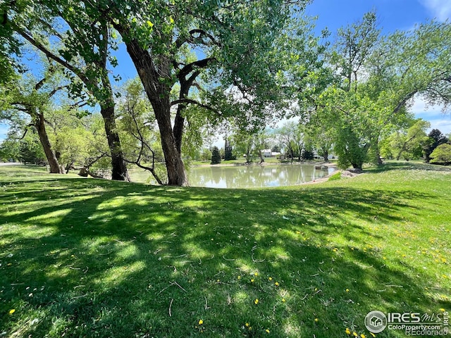 view of grassy yard with a water view
