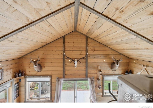 1095 Spruce Mountain Dr, Drake, CO 80515 - detailed view of wood ceiling and wooden walls