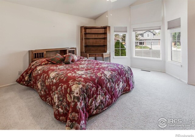 2409 Rock Creek Dr, Fort Collins, CO 80528 - bedroom with carpet flooring, lofted ceiling, and baseboards