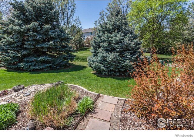 2409 Rock Creek Dr, Fort Collins, CO 80528 - view of green lawn