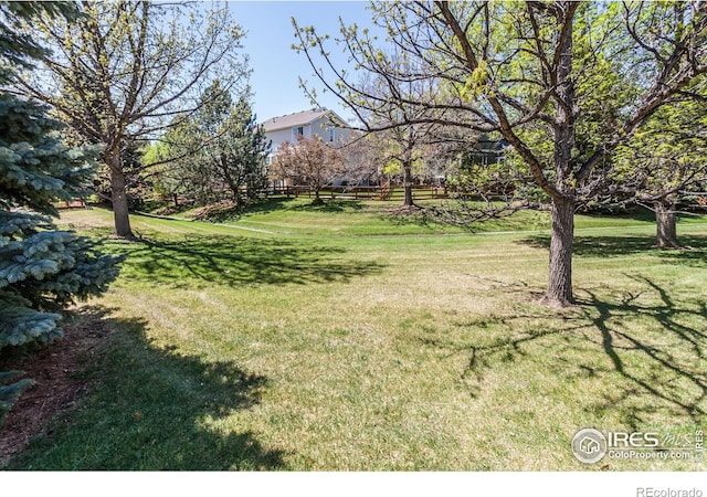 2409 Rock Creek Dr, Fort Collins, CO 80528 - view of green lawn
