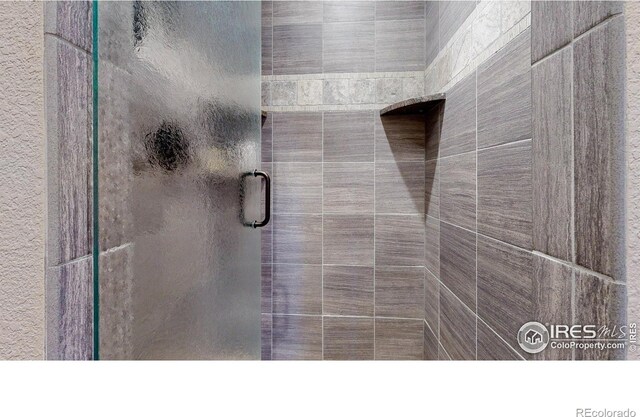 1049 Pine Knoll Dr, Estes Park, CO 80517 - bathroom with a shower stall