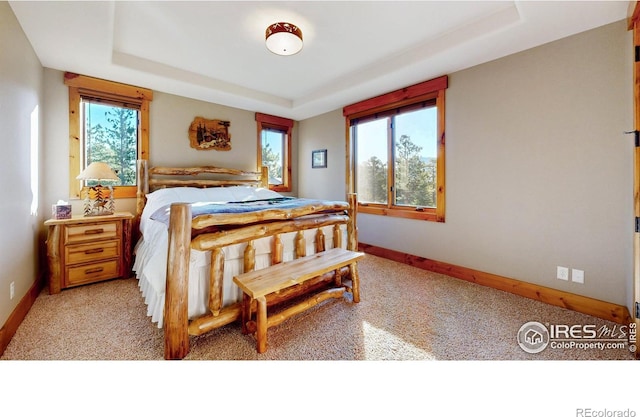 1049 Pine Knoll Dr, Estes Park, CO 80517 - carpeted bedroom featuring a raised ceiling and baseboards