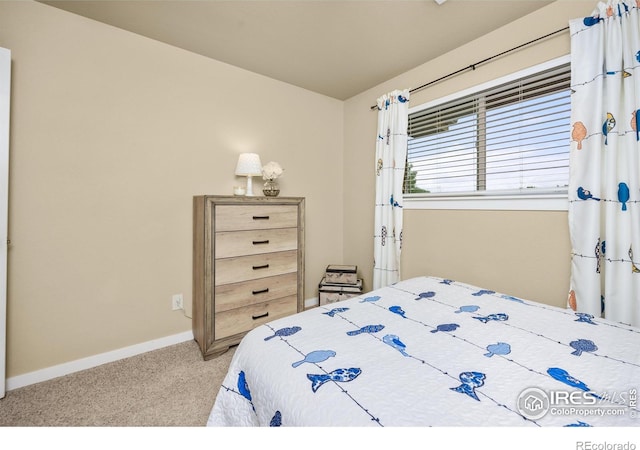 255 Carina Cir Unit 105, Loveland, CO 80537 - photo 17