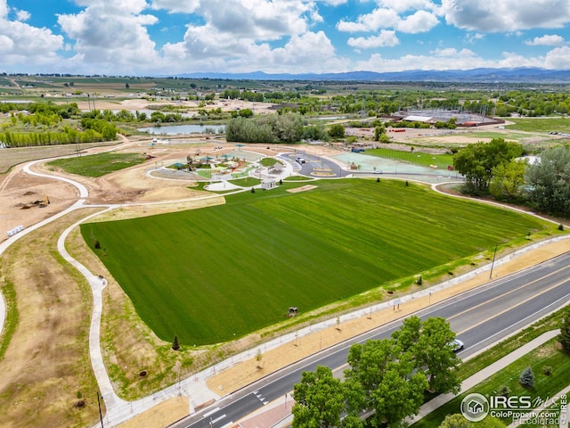 255 Carina Cir Unit 105, Loveland, CO 80537 - photo 35