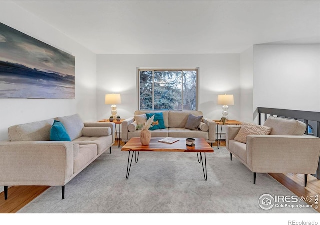living area featuring wood finished floors and a baseboard radiator