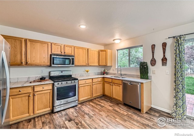 1842 Reliance Cir, Superior, CO 80027 - kitchen featuring stainless steel appliances, light countertops, wood finished floors, a sink, and plenty of natural light