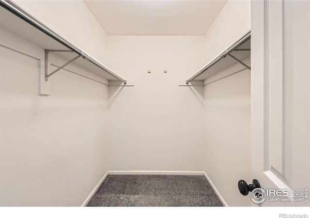 1842 Reliance Cir, Superior, CO 80027 - spacious closet with carpet flooring