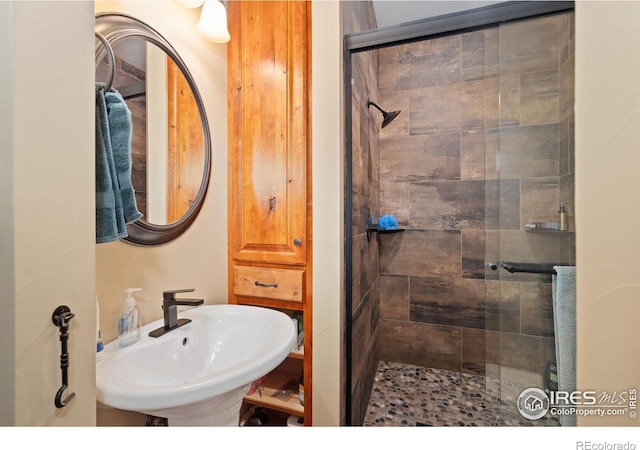 200 Falls Creek Dr, Bellvue, CO 80512 - bathroom featuring a sink and a shower stall