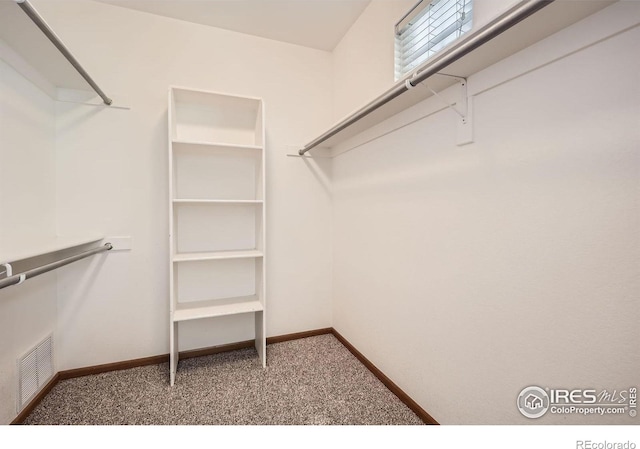spacious closet with carpet floors