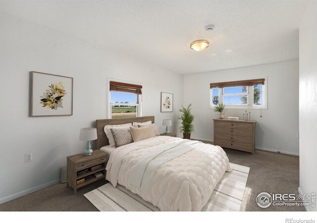 15659 County Road 98, Nunn, CO 80648 - photo 20