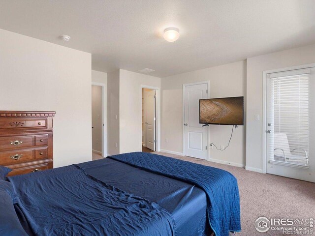 1456 Sepia Ave, Longmont, CO 80501 - photo 10