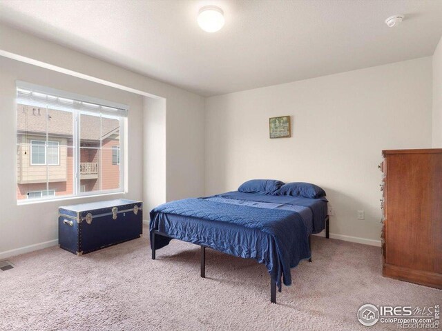 1456 Sepia Ave, Longmont, CO 80501 - photo 9