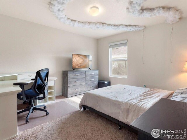 1456 Sepia Ave, Longmont, CO 80501 - photo 14