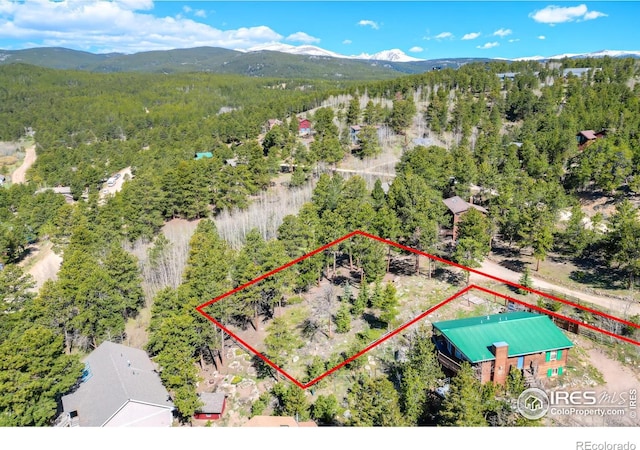 87 Sundance Cir, Nederland, CO 80466