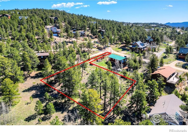 87 Sundance Cir, Nederland, CO 80466