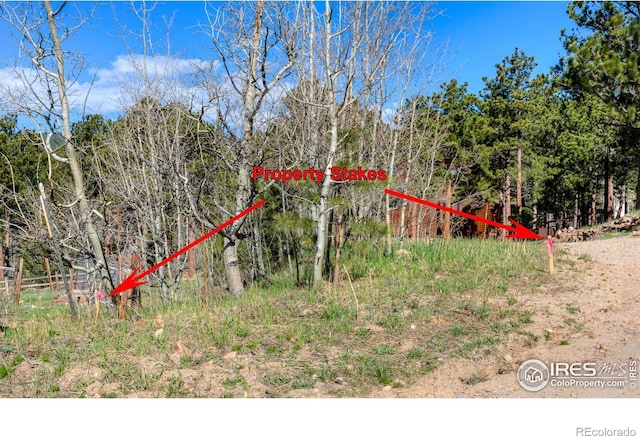87 Sundance Cir, Nederland, CO 80466
