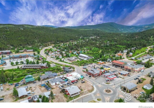 87 Sundance Cir, Nederland, CO 80466