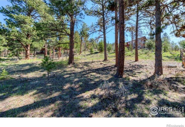 87 Sundance Cir, Nederland, CO 80466