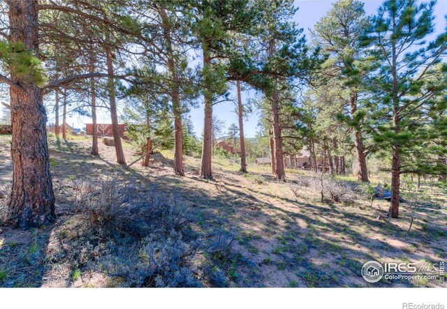 87 Sundance Cir, Nederland, CO 80466