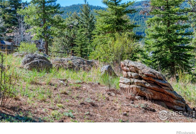 87 Sundance Cir, Nederland, CO 80466
