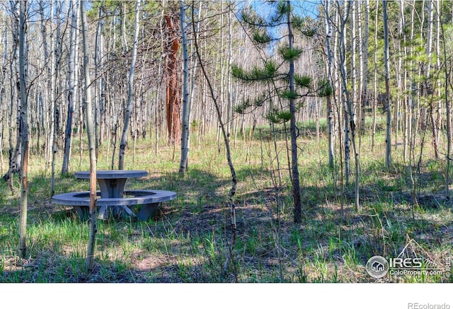 87 Sundance Cir, Nederland, CO 80466