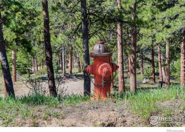 87 Sundance Cir, Nederland, CO 80466