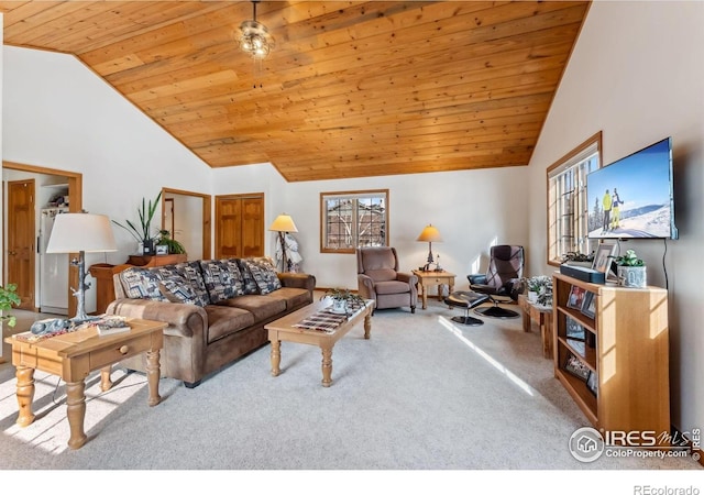 353 E Byers Ave, Hot Sulphur Springs, CO 80451 - photo 15