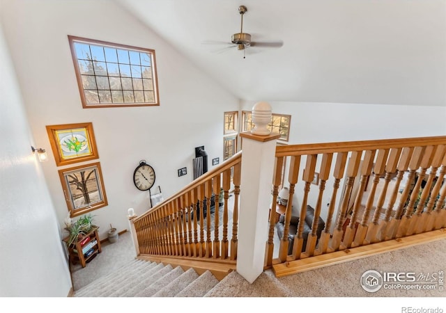 353 E Byers Ave, Hot Sulphur Springs, CO 80451 - photo 21