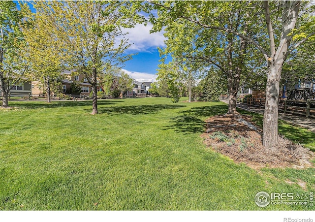 view of green lawn