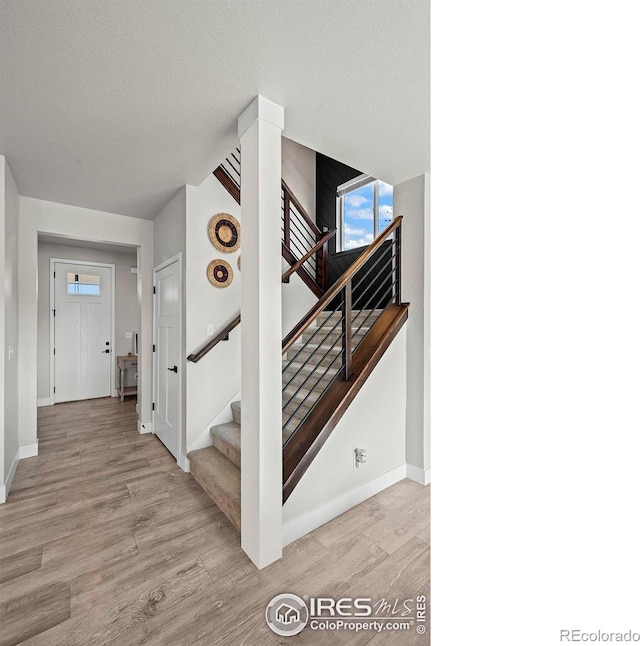 597 Red Jewel Dr, Windsor, CO 80550 - photo 2