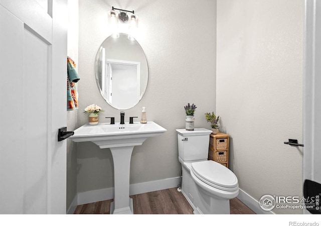 597 Red Jewel Dr, Windsor, CO 80550 - photo 9