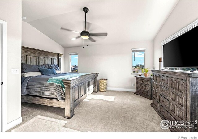 597 Red Jewel Dr, Windsor, CO 80550 - photo 11