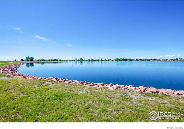 597 Red Jewel Dr, Windsor, CO 80550 - photo 25