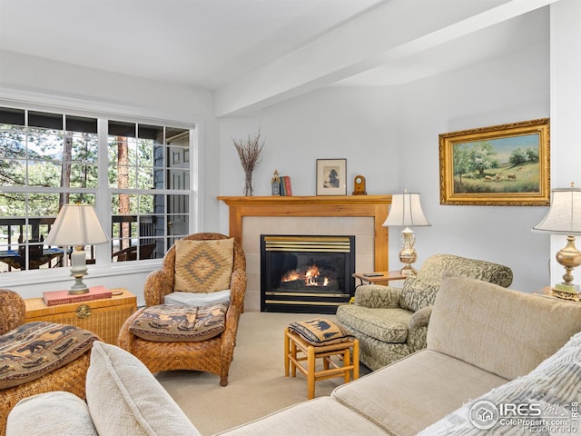 160 Riverside Dr Unit 2, Estes Park, CO 80517 - carpeted living room featuring a tiled fireplace