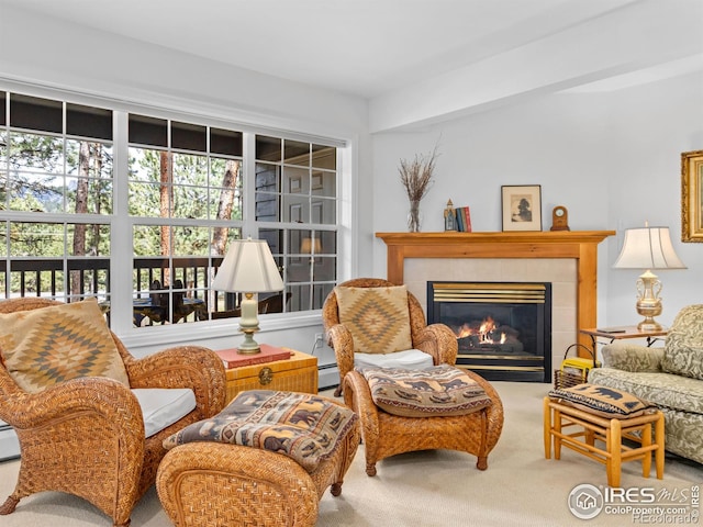 160 Riverside Dr Unit 2, Estes Park, CO 80517 - living area with carpet floors and a tiled fireplace