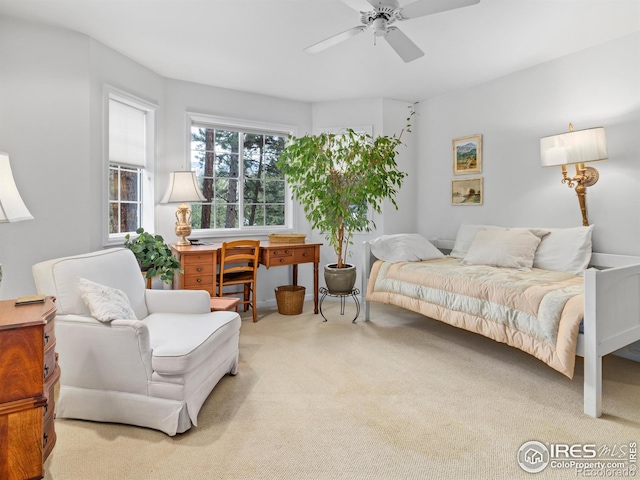 160 Riverside Dr Unit 2, Estes Park, CO 80517 - bedroom featuring carpet flooring, a ceiling fan, and a desk