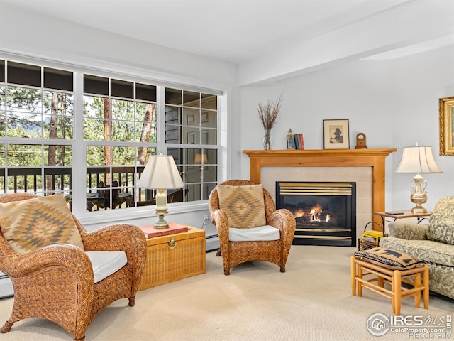 160 Riverside Dr Unit 2, Estes Park, CO 80517 - sitting room with carpet flooring and a tile fireplace