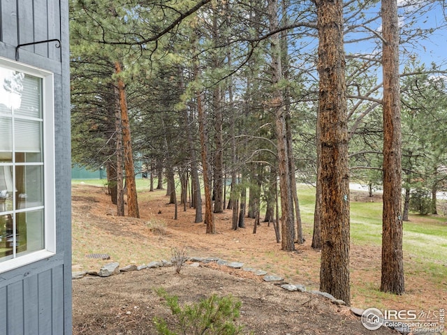 160 Riverside Dr Unit 2, Estes Park, CO 80517 - view of yard