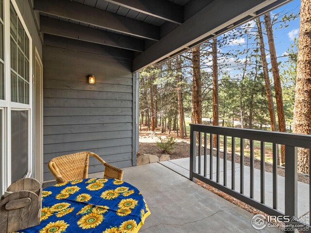 160 Riverside Dr Unit 2, Estes Park, CO 80517 - view of patio / terrace