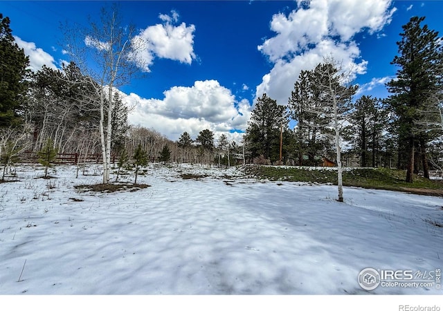6 Norske Trl, Allenspark, CO 80510 - view of snowy yard