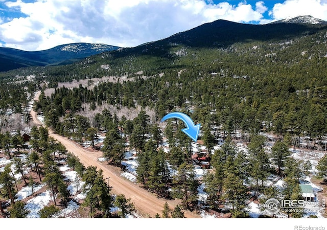 6 Norske Trl, Allenspark, CO 80510 - bird's eye view of mountains and a forest