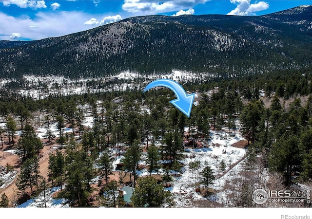6 Norske Trl, Allenspark, CO 80510 - view of mountain backdrop featuring a heavily wooded area