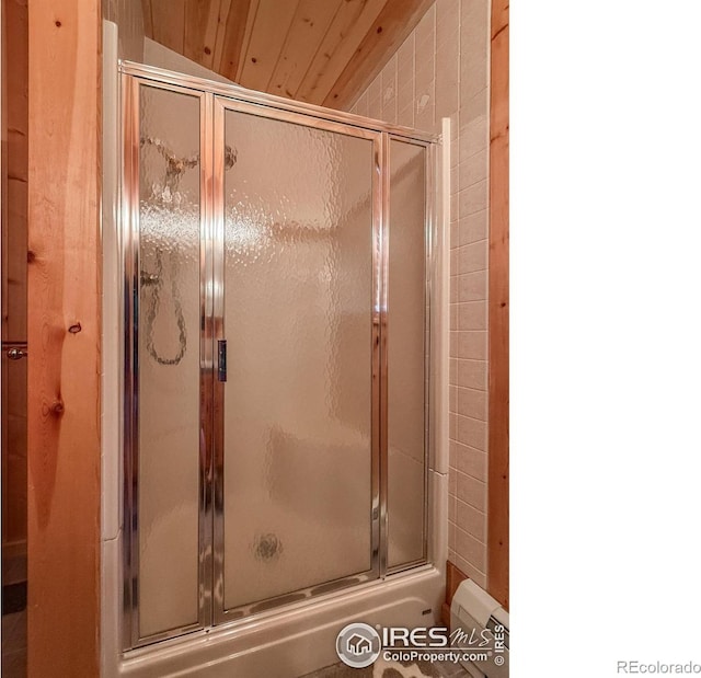 6 Norske Trl, Allenspark, CO 80510 - bathroom with a shower with door