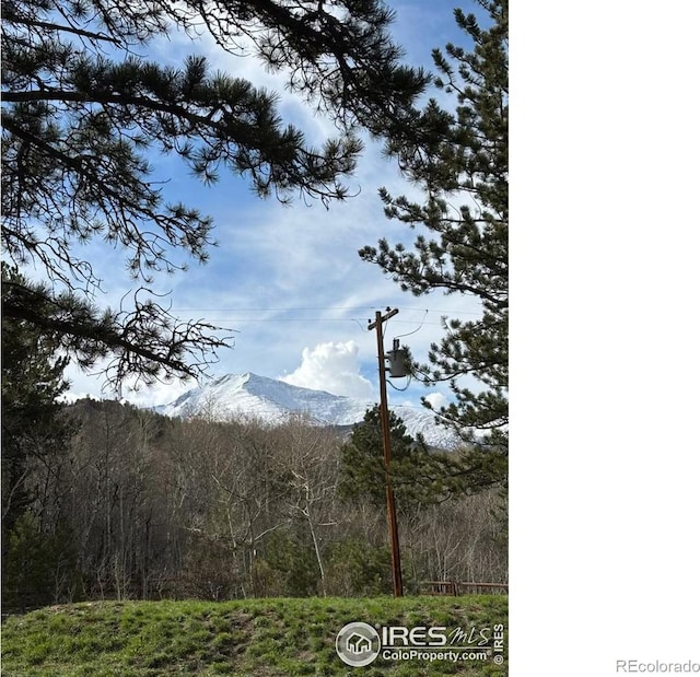 6 Norske Trl, Allenspark, CO 80510 - view of mountain background with a forest