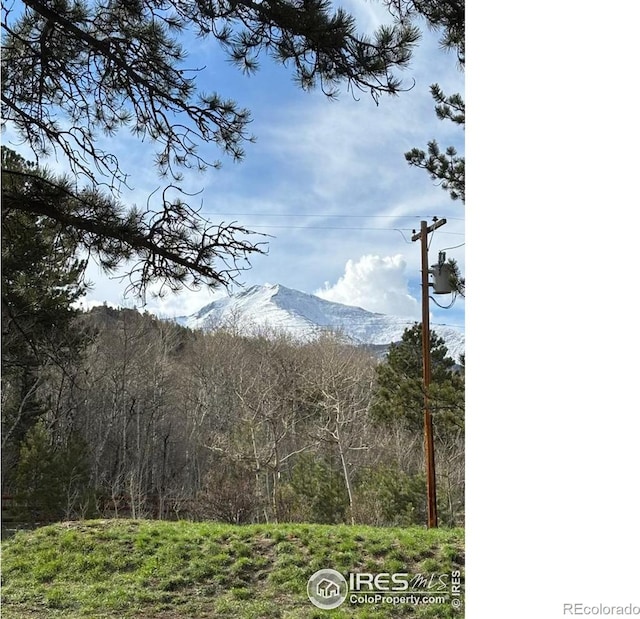 6 Norske Trl, Allenspark, CO 80510 - mountain view featuring a heavily wooded area