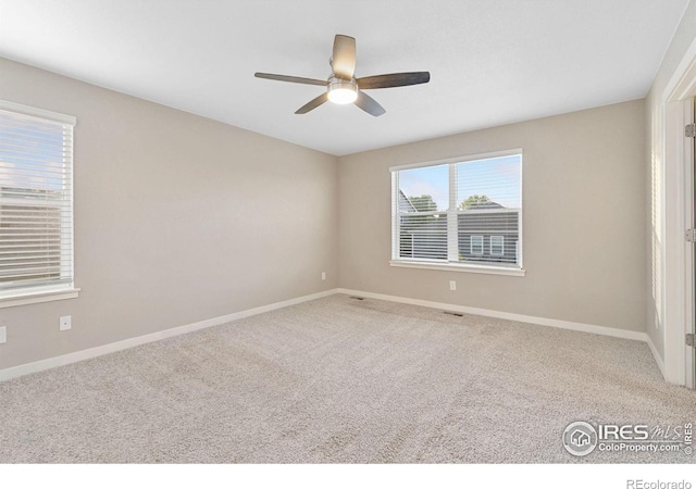 1576 Illingworth Dr, Windsor, CO 80550 - photo 21