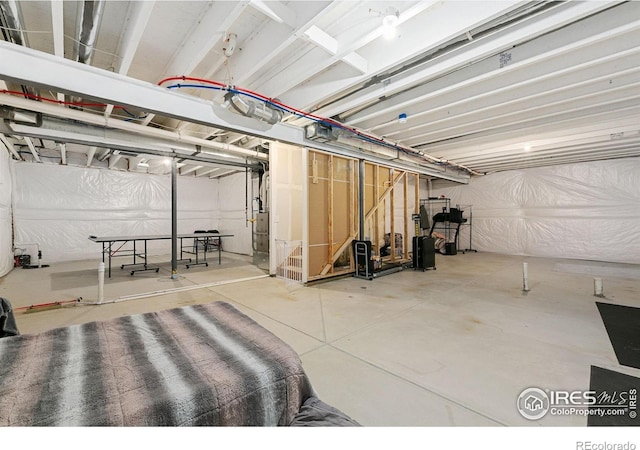1576 Illingworth Dr, Windsor, CO 80550 - photo 28