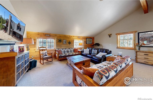 315 County Road 4454, Grand Lake, CO 80447 - living room with lofted ceiling, light colored carpet, and wood walls