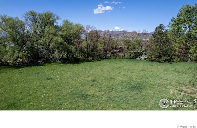 12855 N 66th St, Longmont, CO 80503 - photo 38